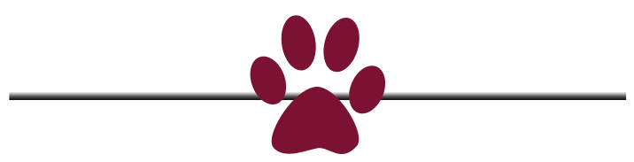 AHEPA Service Dogs for Warriors