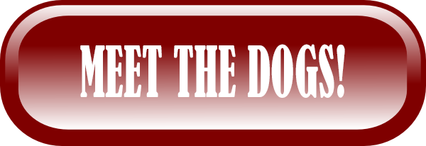 AHEPA Service Dogs for Warriors