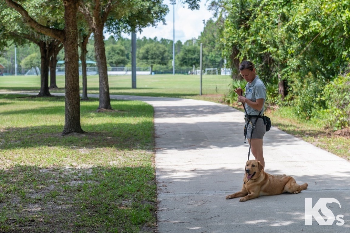 BEAR AHEPA, AHEPA Service Dog
